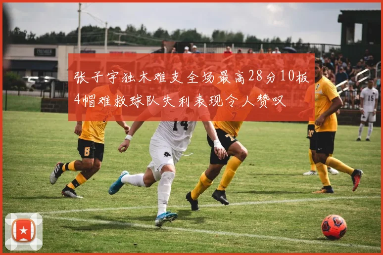张子宇独木难支全场最高28分10板4帽难救球队失利表现令人赞叹