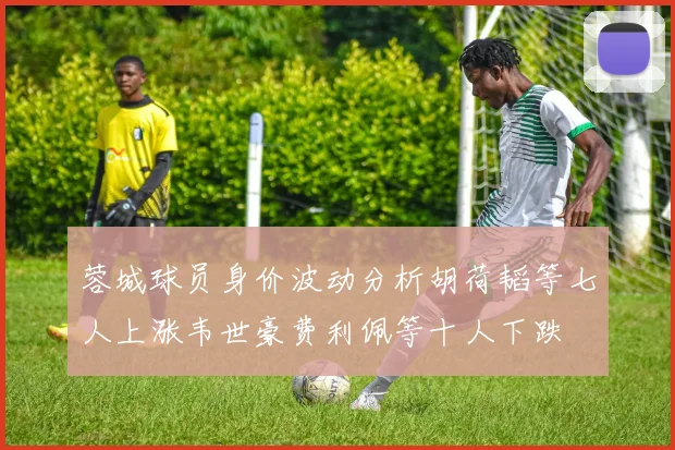蓉城球员身价波动分析胡荷韬等七人上涨韦世豪费利佩等十人下跌